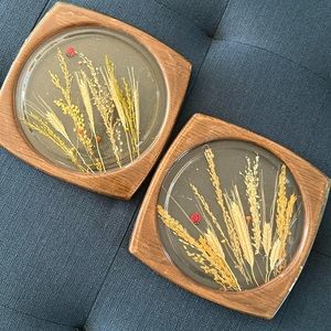 Vintage pair of lucite trivets, wheat, dried grass, ladybugs, wood grain